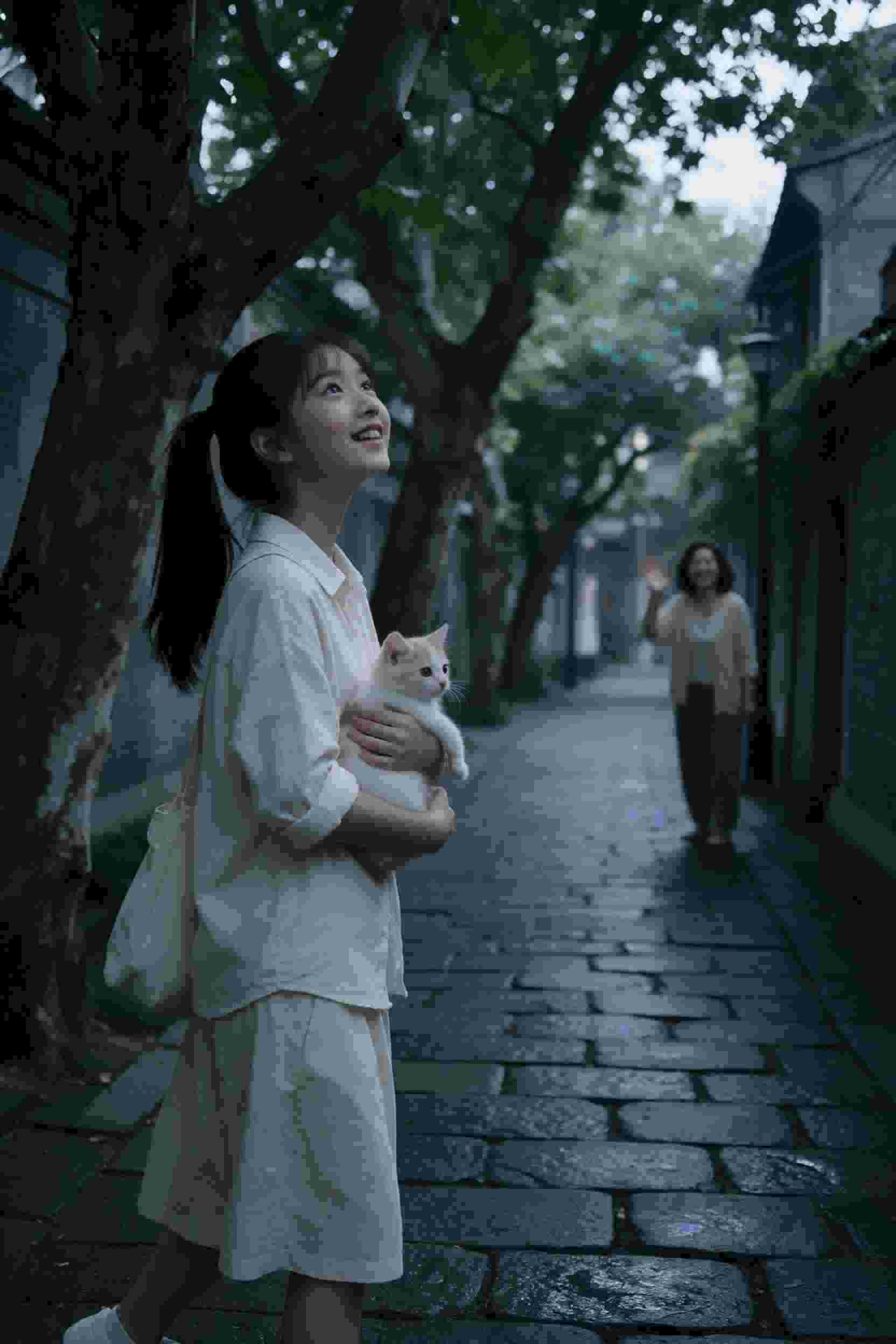 短剧2